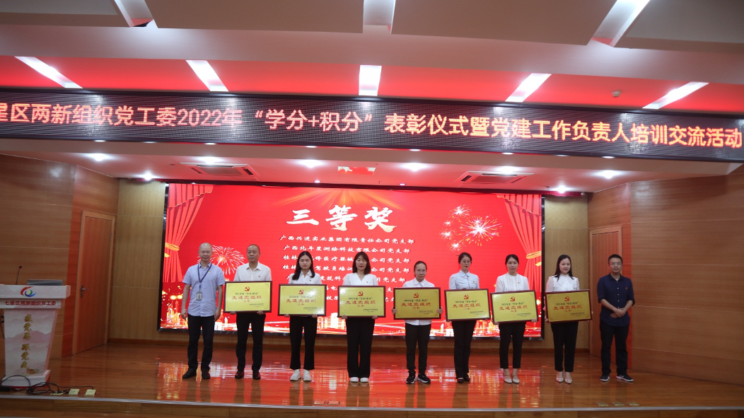 北斗星测绘党支部获得七星区两新…